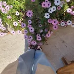 Sun Ray Σπίτι διακοπών