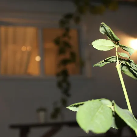 Дом отдыха Sun Ray Apartments Thassos *