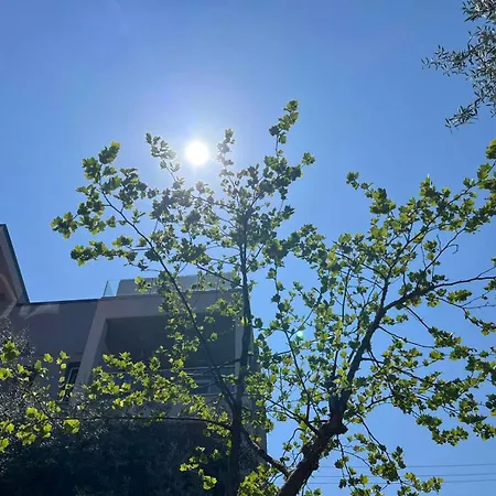 Sun Ray Apartments Thassos