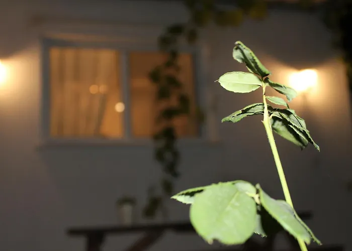 Ferienhaus Sun Ray Apartments Thassos *